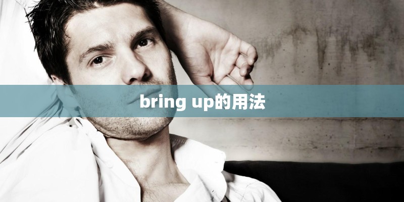 bring up的用法