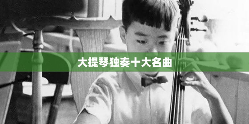 大提琴独奏十大名曲