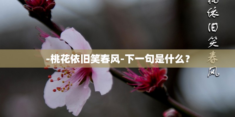 -桃花依旧笑春风-下一句是什么？