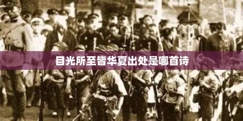 目光所至皆华夏出处是哪首诗