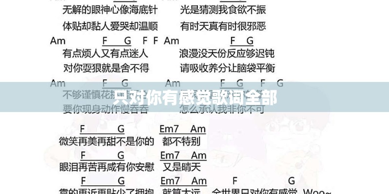 只对你有感觉歌词全部