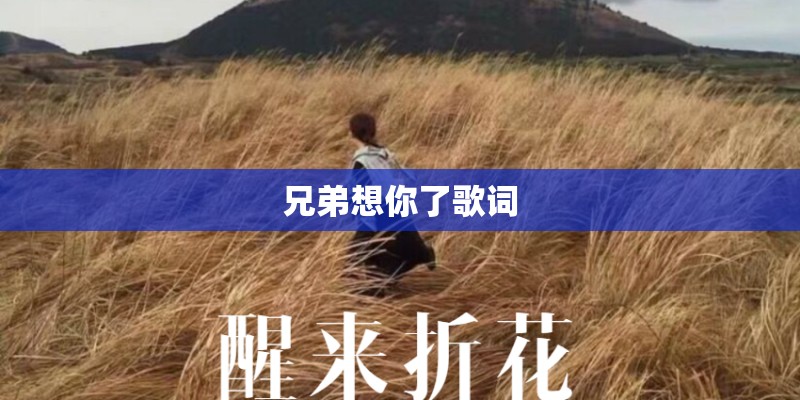 兄弟想你了歌词