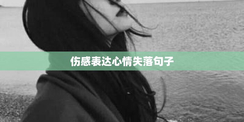 伤感表达心情失落句子