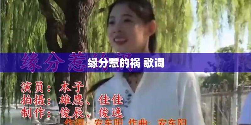 缘分惹的祸 歌词